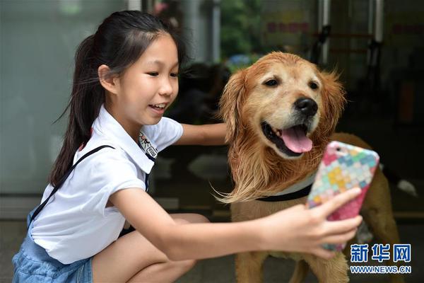 全面战争战锤3陶俑兵种有什么优缺点
