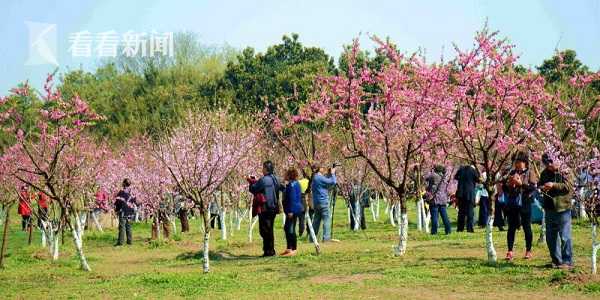 命运2读取游戏内容出错怎么办