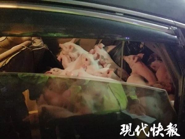 地狱之魂时间空间魔法怎么获得